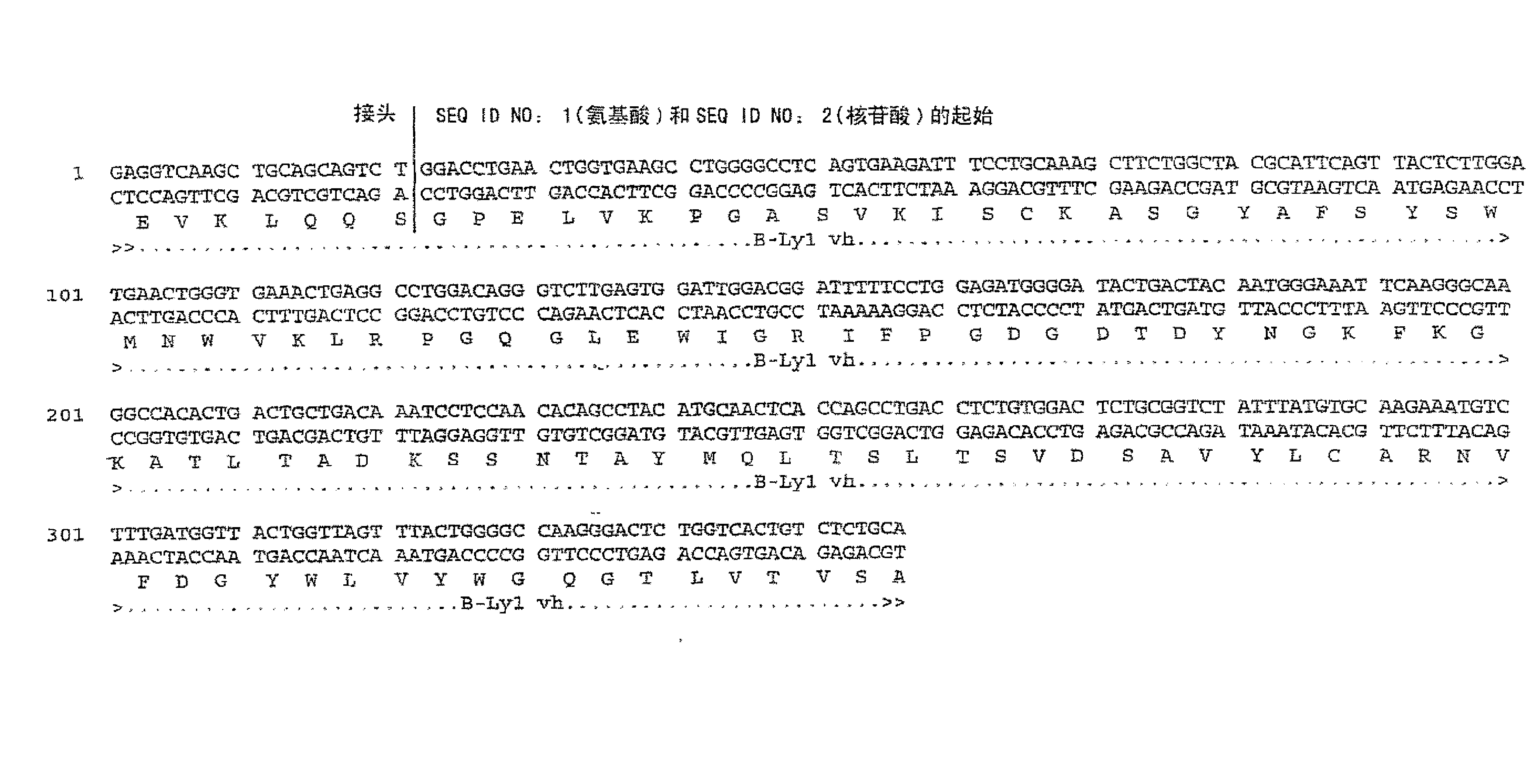 具有增加的Fc受体结合亲和性和效应子功能的CD20抗体