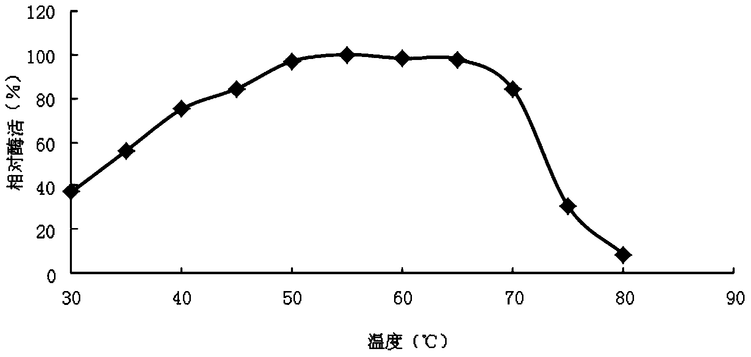 一种内切葡聚糖酶