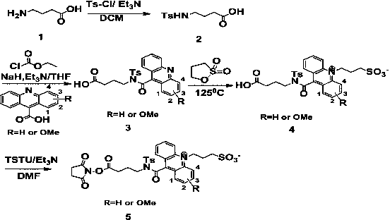 一种吖啶系列化学发光剂的制备方法