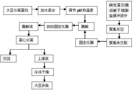 一种无载体固定化酶制备大豆多肽的方法