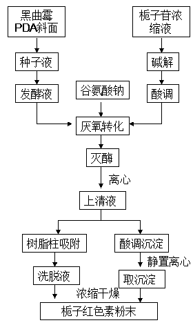 一种栀子红色素的生产和精制方法