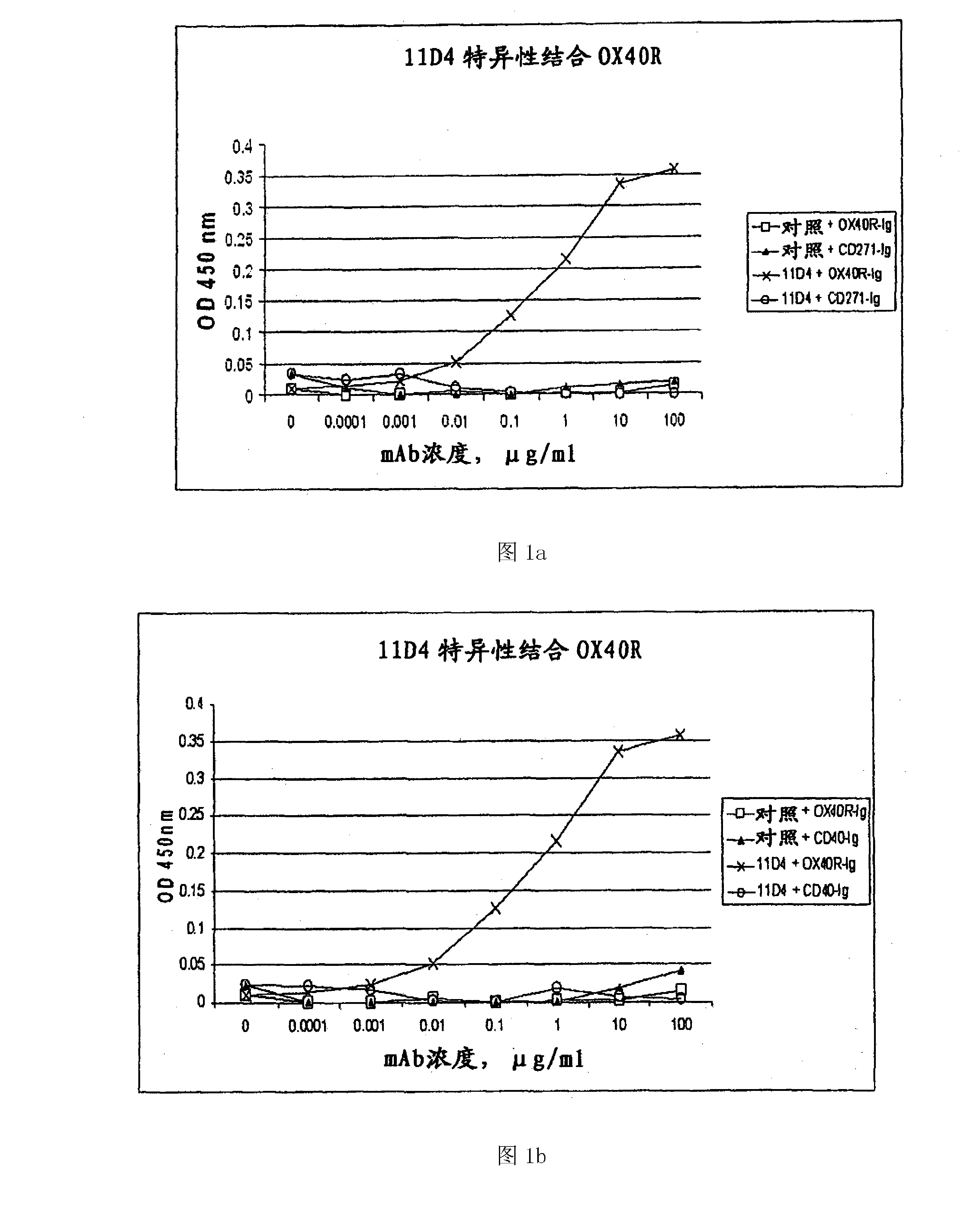 人OX40受体的结合分子