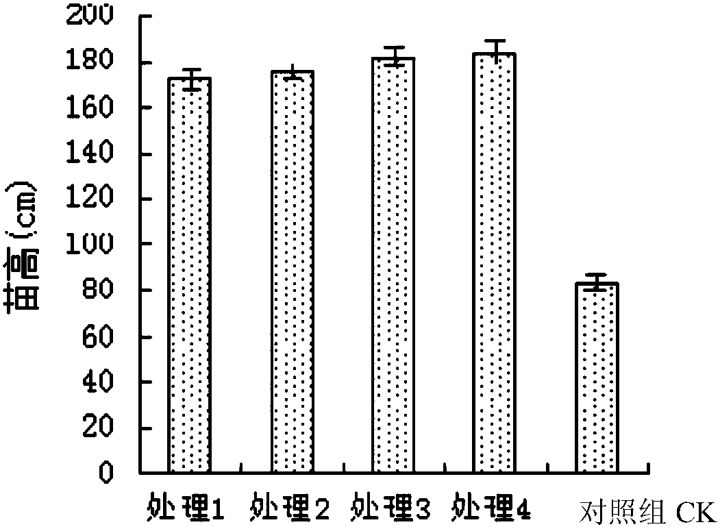 一种楸树育苗专用复合肥及其应用