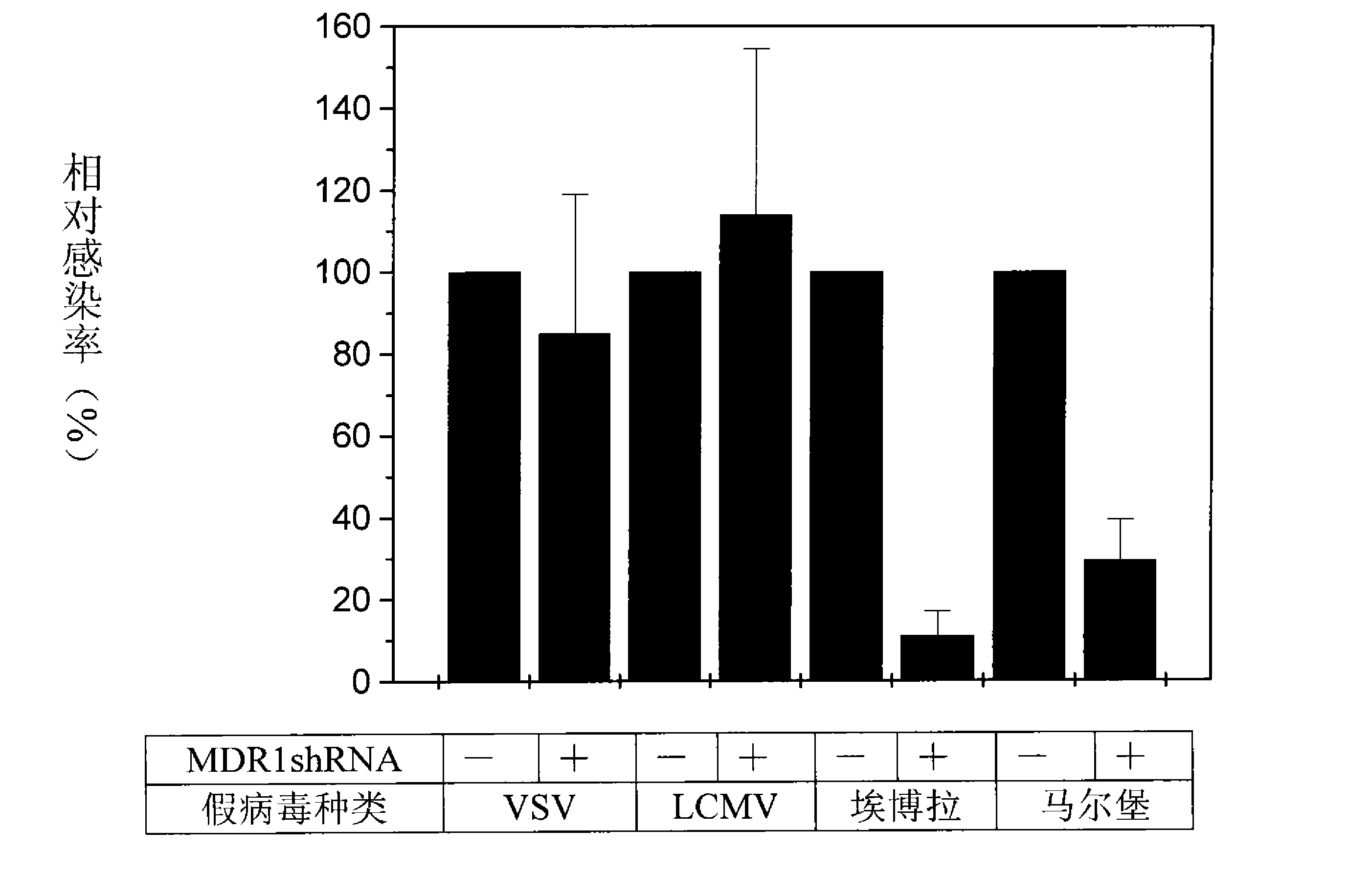 一种筛选肿瘤化疗增敏剂的方法