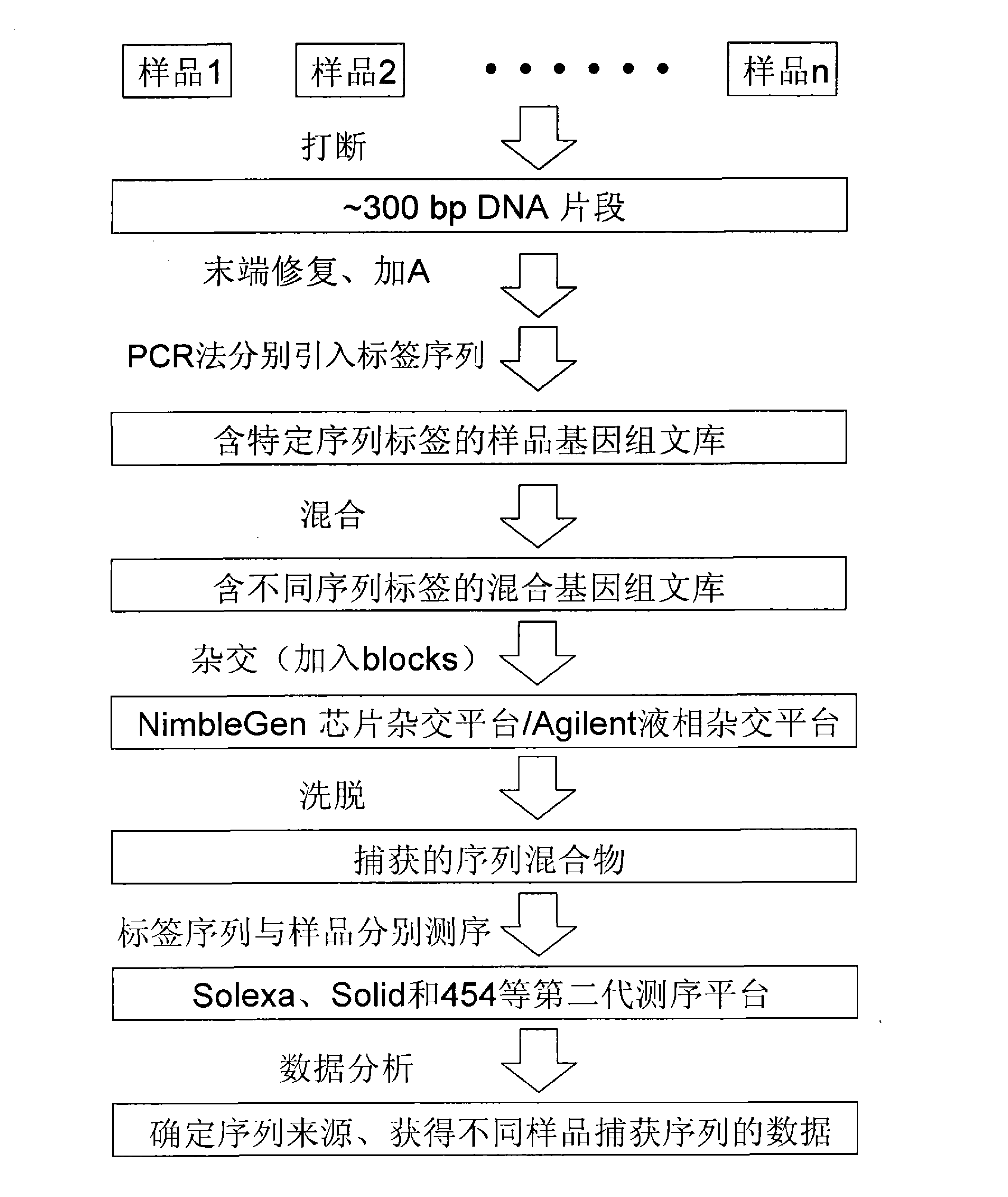 一种构建杂交测序文库的方法