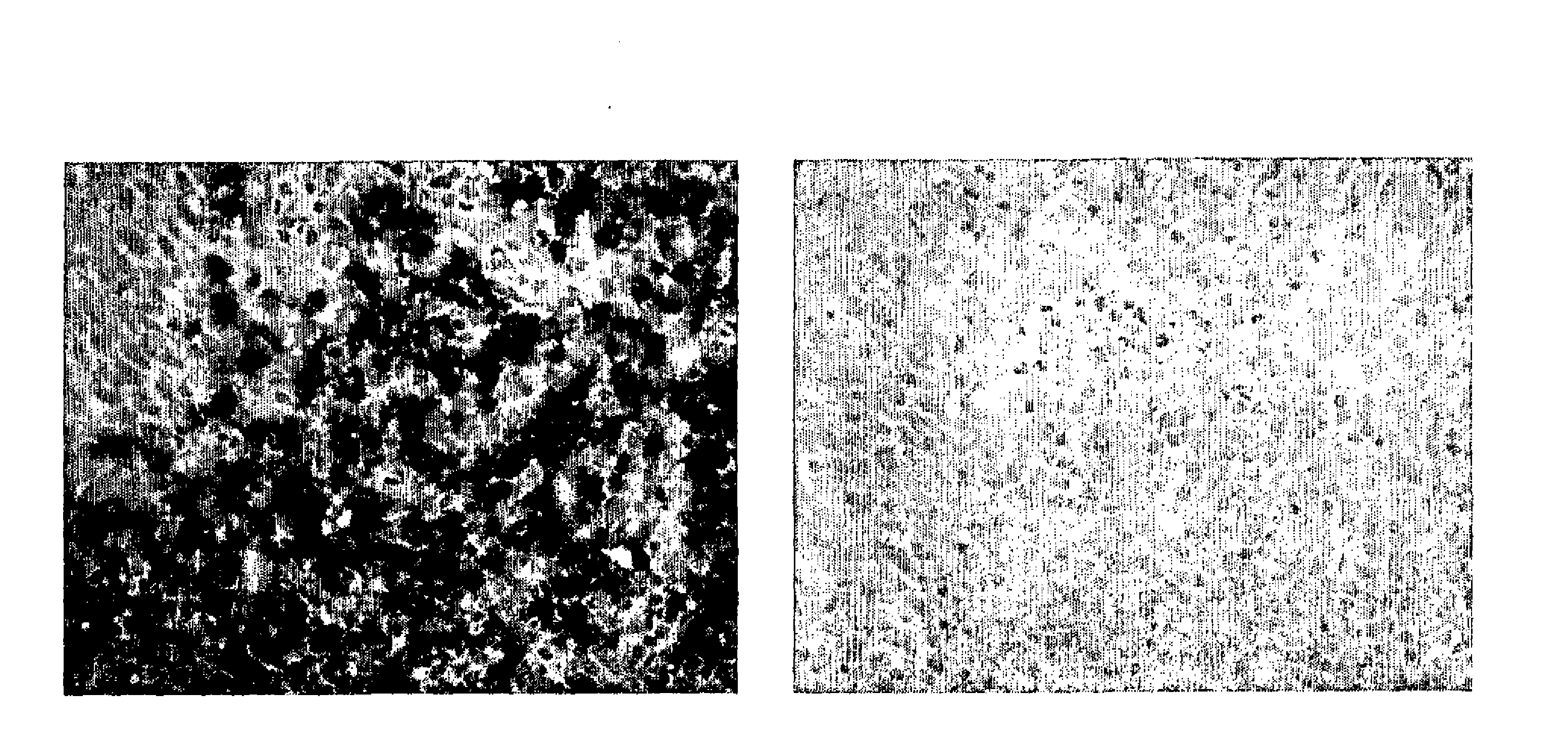 分子缀合物