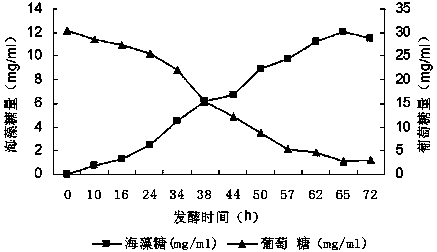 一株短小杆菌以及由其发酵制备海藻糖的方法