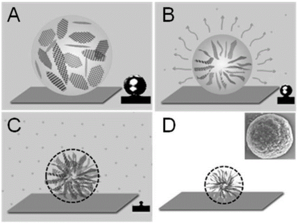 一种氧化石墨烯微球的制备方法
